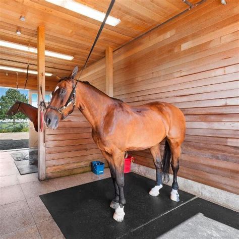 Horse Stall Mats | Buy Premium Quality Mats at Cheap Rate