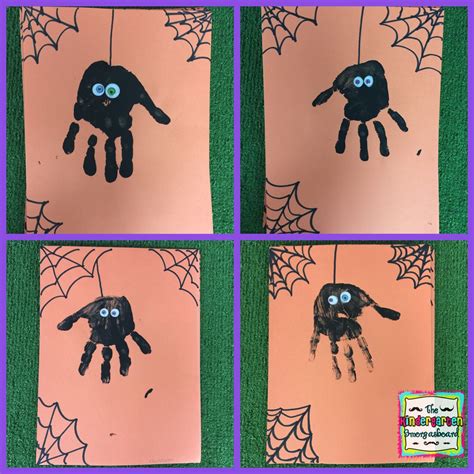 Spiders Research Project! | Halloween arts and crafts, Halloween crafts ...