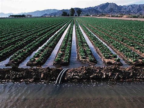 NMSU Media Productions develops outreach materials on water management ...