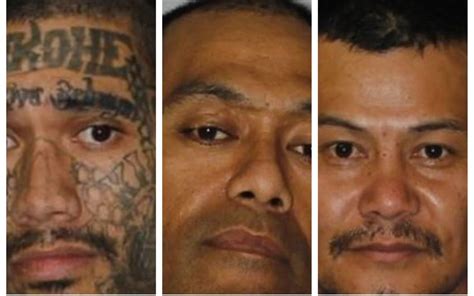 Three escaped prisoners still on the run after fleeing van on Auckland ...