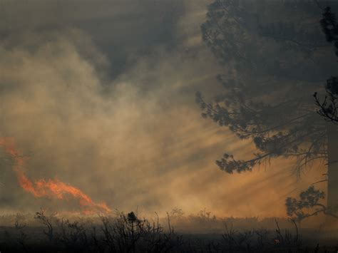 Pictures: Fire "Tornado" Spotted—How Do They Form?