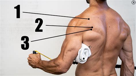 Supraspinatus Strengthening Exercises