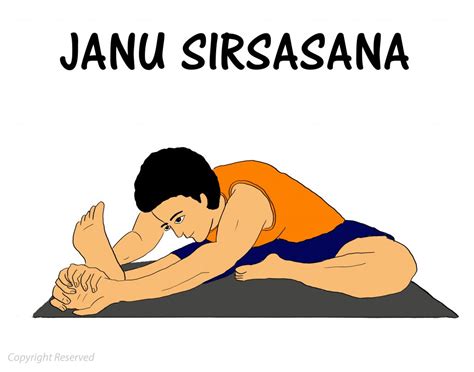 Janu Sirsasana, Steps ,Benefits, Precautions, Contraindications