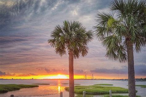 Pitt Street Bridge | Pier fishing, Isle of palms, Travel inspiration