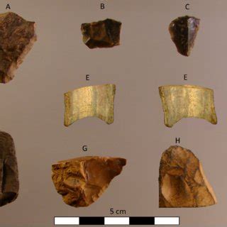 Flaked artifacts from Tabon, Guri, and duyong Caves. Tabon Cave (left ...