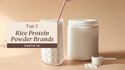 5 Best Rice Protein Powder Brands | Food For Net