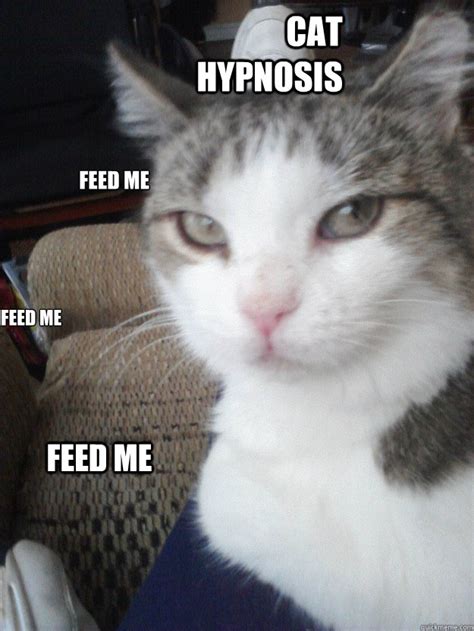 Cat Hypnosis memes | quickmeme