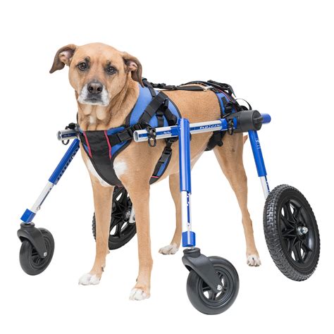 Dog Lifting Harness Aid | Dog Wheelchairs, Dog Carts, Handicapped Pets ...