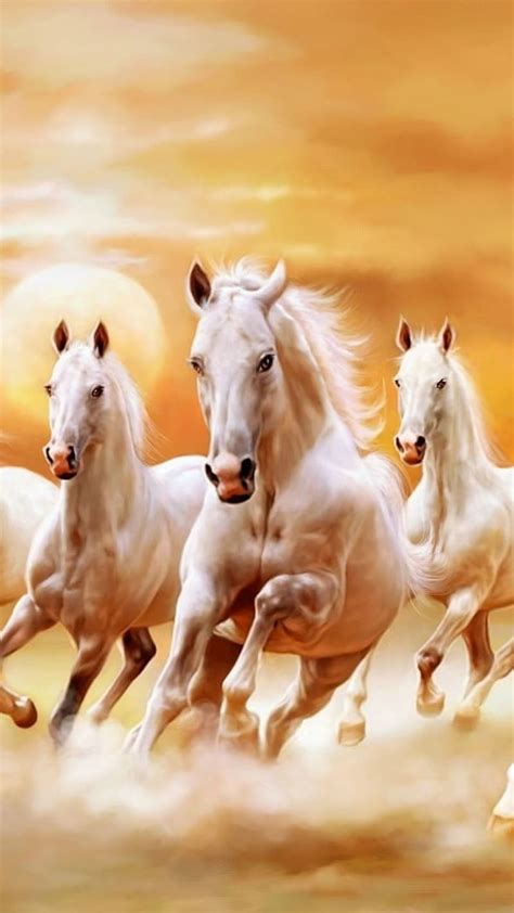 7 White Horse, 7 horse, white, HD phone wallpaper | Peakpx