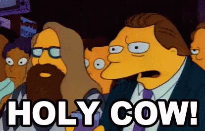 Holy Cow Gif - All About Cow Photos