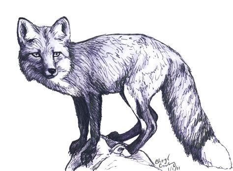 Animal Sketches, Animal Drawings, Pencil Drawings, Art Drawings, Wolf ...