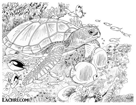 Underwater Pencil Drawing at PaintingValley.com | Explore collection of ...