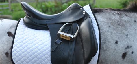 The 5 Best Dressage Saddle Pads: Comfort for your Horse - Equineigh