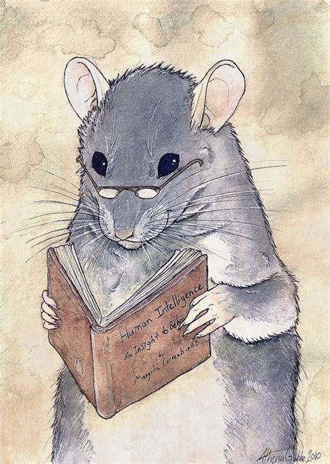 The Smart rat by Shizuku-Uzu on deviantART | Ilustraciones, Ratas ...