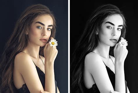 350 FREE Portrait Lightroom Presets - Download Now!