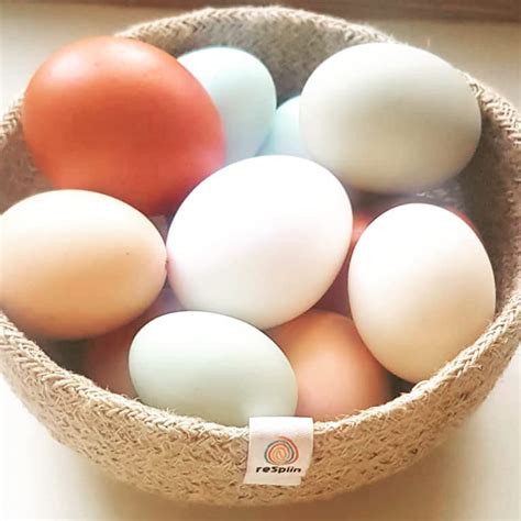 Buy Fertile Chicken Hatching Eggs Online at desertcartZimbabwe