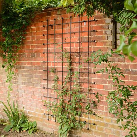 Transform Your Outdoor Space With A Metal Wall Trellis - Home Wall Ideas