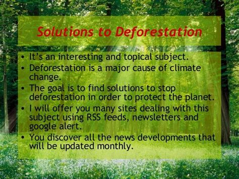 Gido Watch - Solutions to deforestation