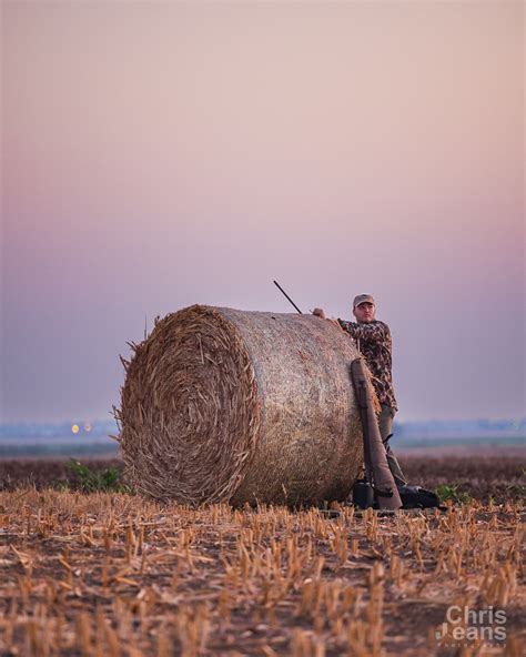 Opening Weekend Dove Season 2023 - TexasBowhunter.com Community ...