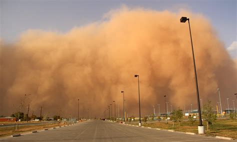 Illinois Dust Storm Disaster Is a Warning for Agriculture - Union of ...