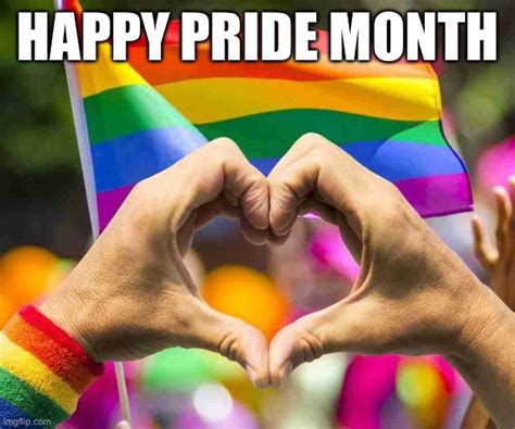 The Best Happy Pride Month Memes to Celebrate in 2024 - Lola Lambchops