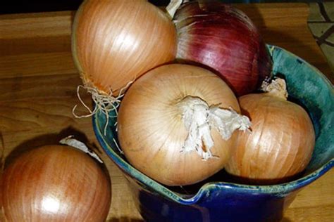 Good Question: How Can I Preserve All These Onions? | The Kitchn