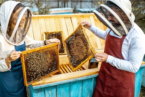 Beekeeping With Horizontal Hives - Complete Beehives