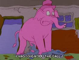 Pink Elephant GIFs - Find & Share on GIPHY