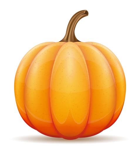 pumpkin vector illustration 509743 Vector Art at Vecteezy