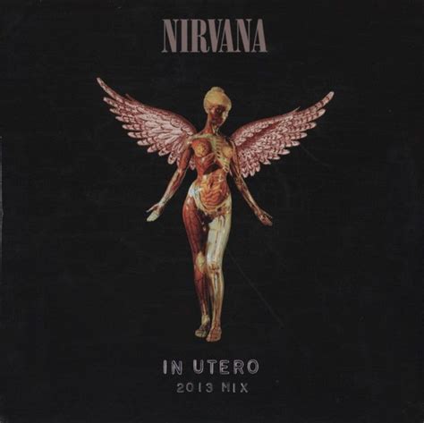 In Utero Nirvana Album Cover | Nirvana album, Nirvana album cover, Nirvana