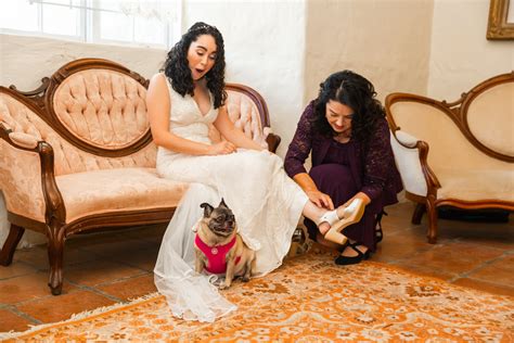 Wholesome Bright Pink Wedding with Pug of Honor — Santa Barbara Wedding ...