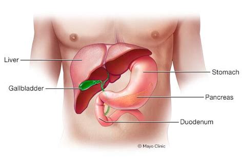 Quistes pancreáticos - Síntomas y causas - Mayo Clinic