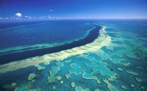 On this day: Great Barrier Reef protected - Australian Geographic