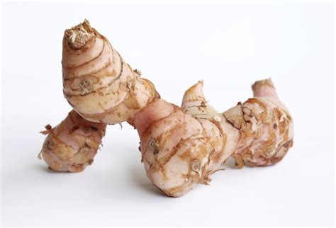 Galangal - Alchetron, The Free Social Encyclopedia