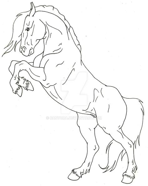 Lineart - Rearing Horse by Rantora on DeviantArt