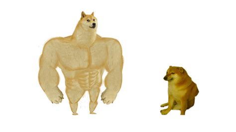 Swole Doge vs. Cheems | Know Your Meme