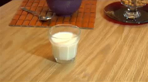 Spilled Milk GIFs - Get the best GIF on GIPHY