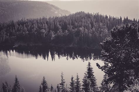 Pénétrez dans l’une des plus belles forêts du monde : la Forêt-Noire en ...