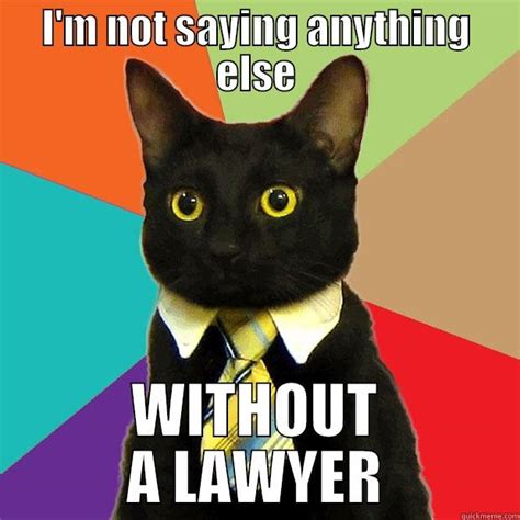 busted cat lawyer - quickmeme