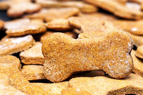 DIY Peanut Butter Bones Are Perfect Puppy Snacks