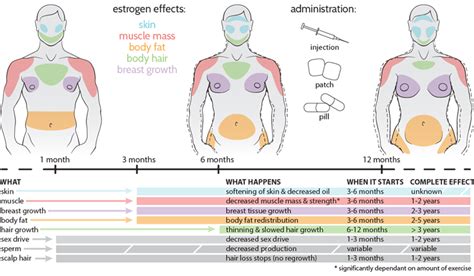 「Mtf hrt」おしゃれまとめの人気アイデア｜Pinterest｜Ryan Coulter