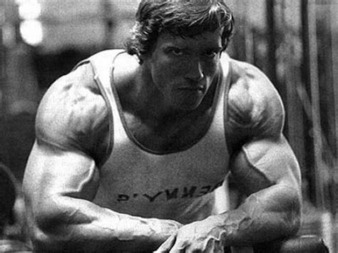 Arnold Schwarzenegger Bodybuilding Wallpapers - Top Free Arnold ...