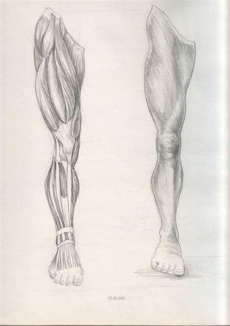 Anatomic Male Leg Sketch by EkinDuzci.deviantart.com on @deviantART ...