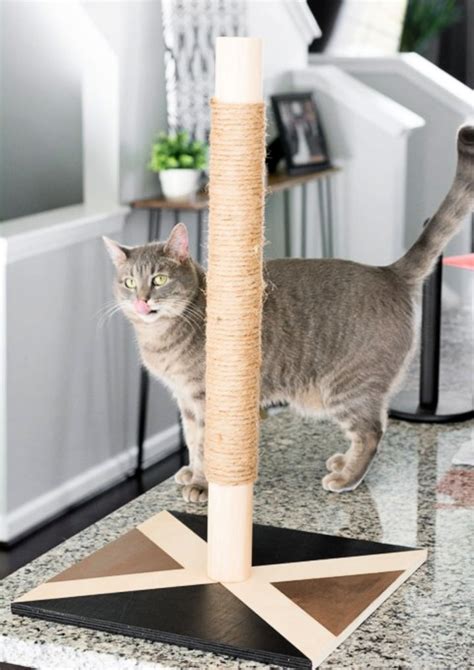 15 Easy DIY Cat Scratching Post Plans (Make a Cat Scratcher)