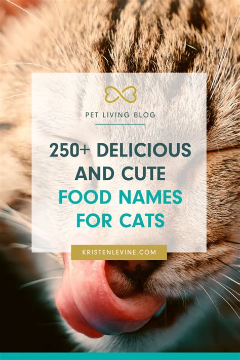 250+ Adorable Food Names for Cats | Pet Living