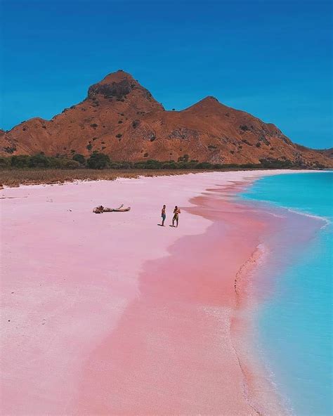 Pink Beach Komodo Island Indonesia