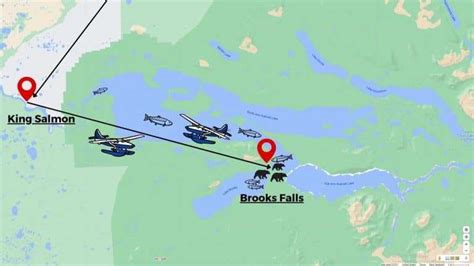 Your guide to visiting Brooks Falls in Katmai National Park - Bear ...