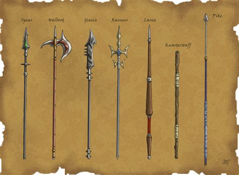 20+ Top Baru Polearms Types