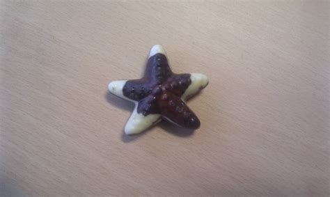 A Chocolate Starfish : WTF