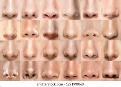 Nose Collage People Stock Photo 1291930624 | Shutterstock